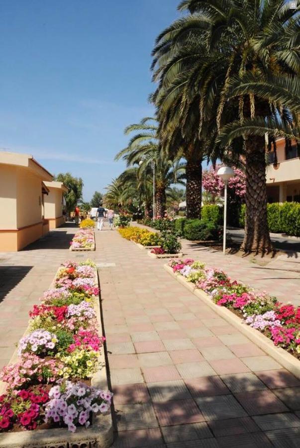 Hotel Summer Day Village Santa Maria Del Cedro Exteriér fotografie